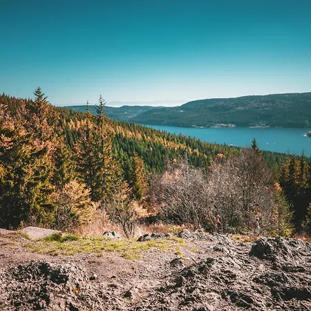 Cozy Black Forest Tiny House Close To Lake Шлухзее Экстерьер фото