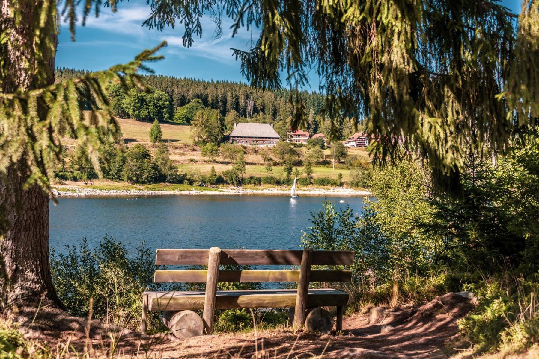 Holiday home Cozy Black Forest Tiny House Close To Schluchsee