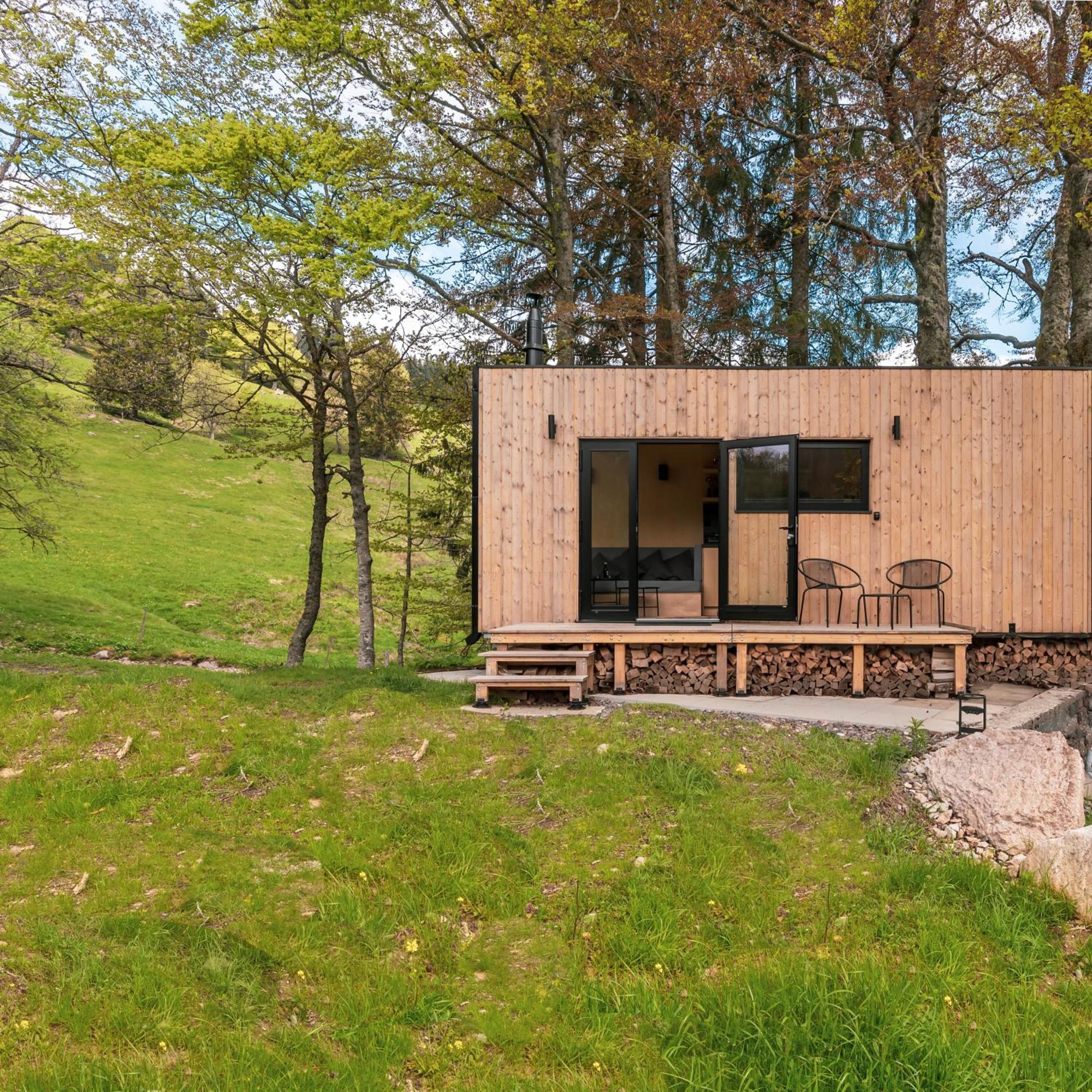 Holiday home Cozy Black Forest Tiny House Close To Schluchsee